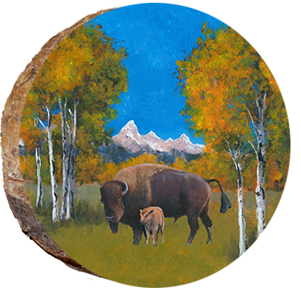 Buffalo & Baby in the Tetons