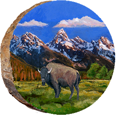 A Buffalo in the Tetons