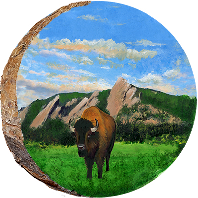 Buffalo in Flatirons