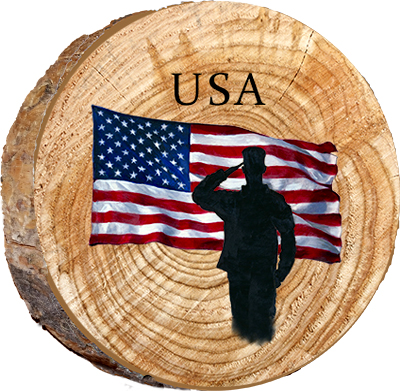 USA Soldier Saluting