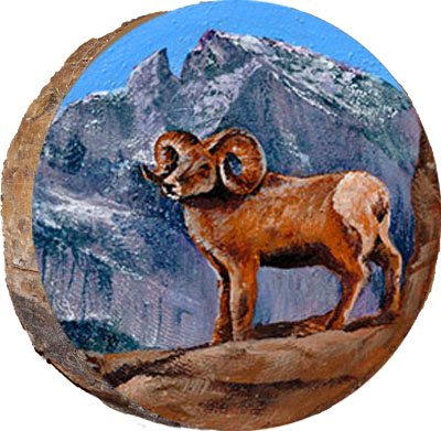 Big Horn Ram