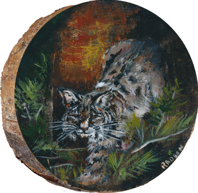 Night Bobcat