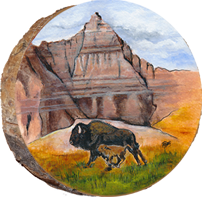 Badlands Buffalo with Calf