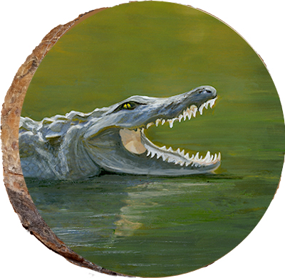Reptiles