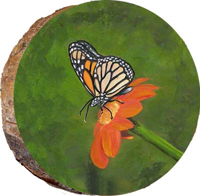 Insects