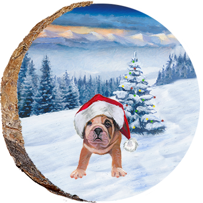 Blonde Christmas Dog Laying by Tree