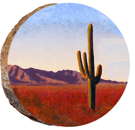 Arizona Cactus