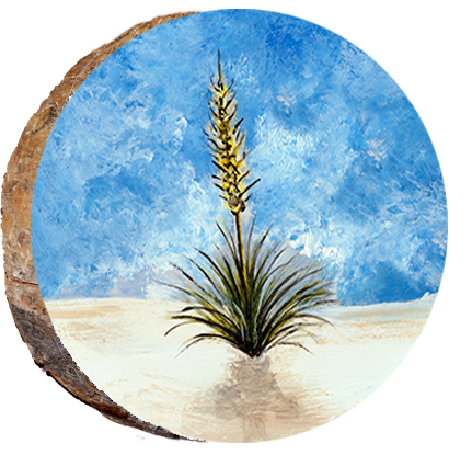 Desert Yucca