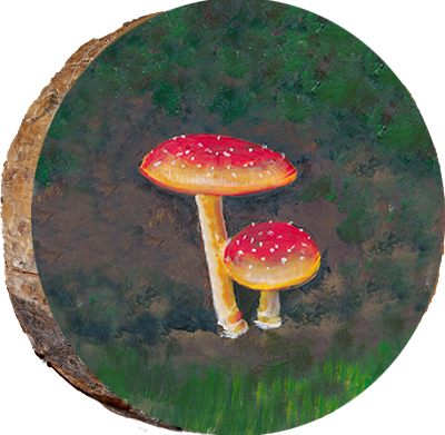 Skagway Mushrooms