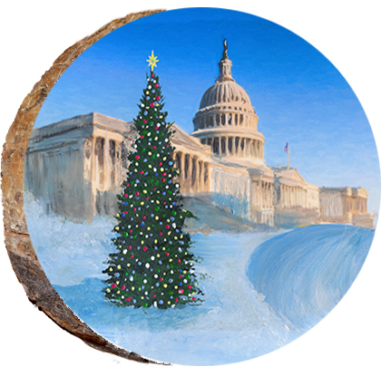 Capital Christmas Tree on Sunny Day