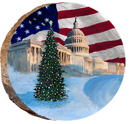 Capital Christmas Tree with American Flag